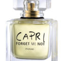 『カプリ フォゲット ミー ノット(Capri Forget Me Not)』カルトゥージア(Carthusia)