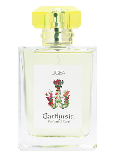 『リゲア ラ シレナ(Ligea (Ligea la Sirena))』カルトゥージア(Carthusia)